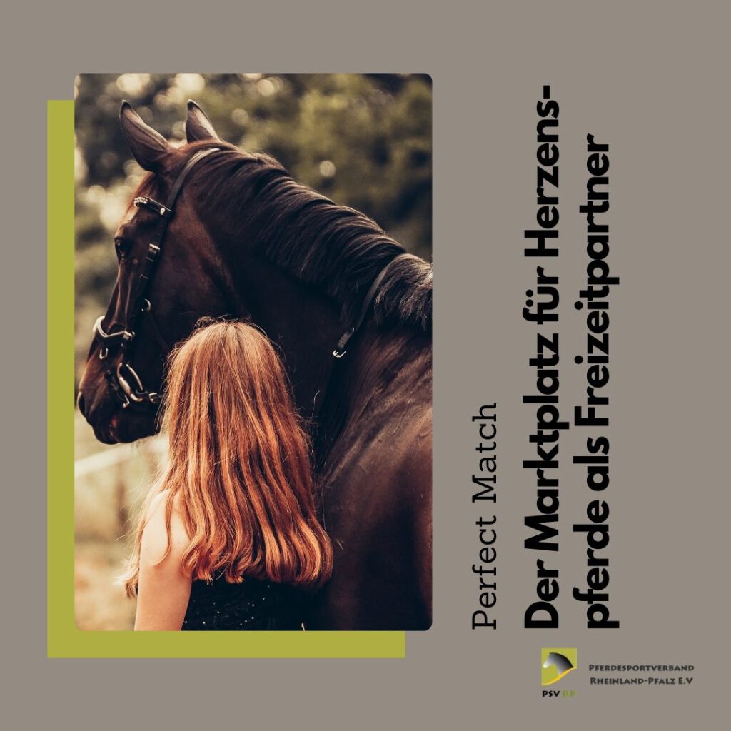Perfect Match - Herzenspferde als Freizeitpartner - 03. Oktober Zeiskam