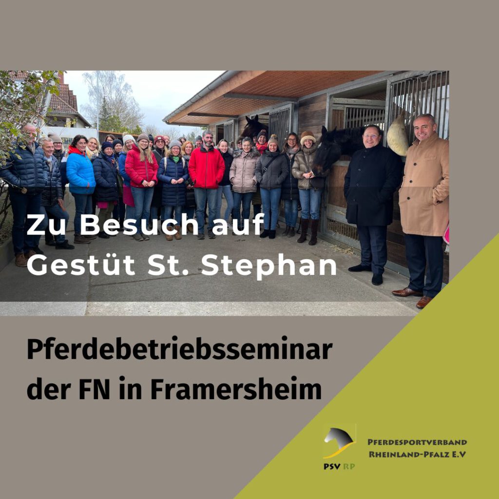 Seminar für Pferdebetriebe