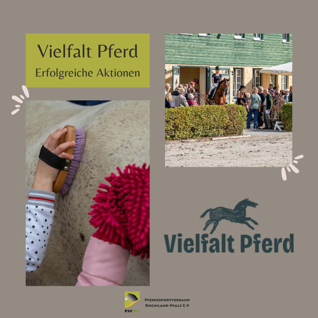 Erfolgreiche Premiere für Vielfalt Pferd