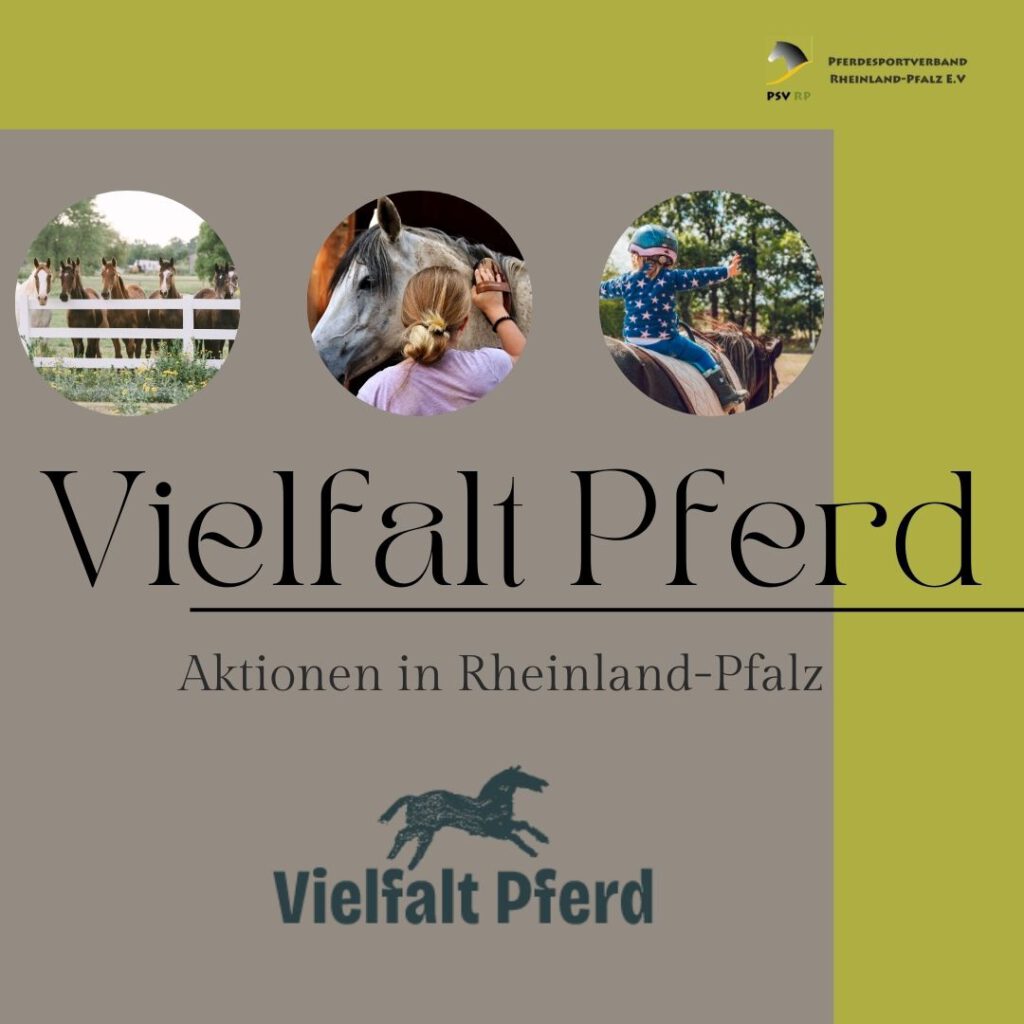 Vielfalt Pferd: Aktionen in Rheinland-Pfalz